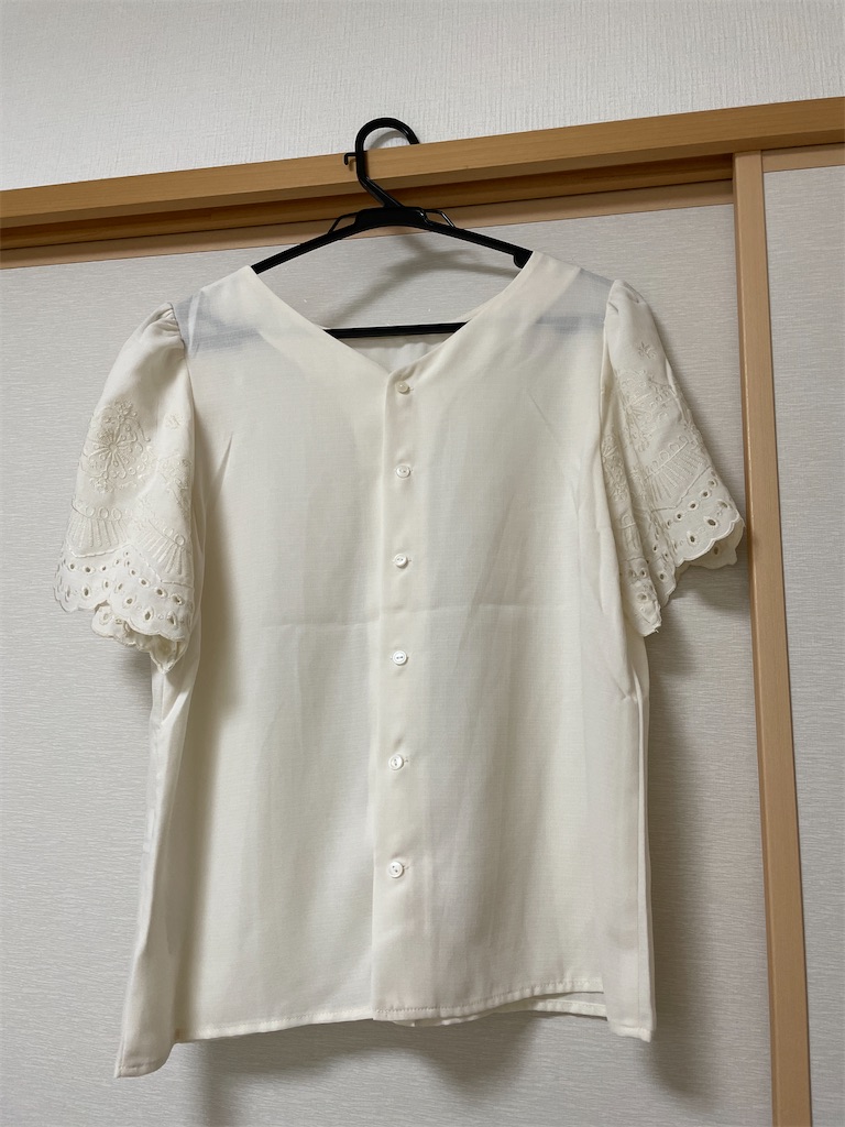 f:id:momohatori:20210630095749j:image