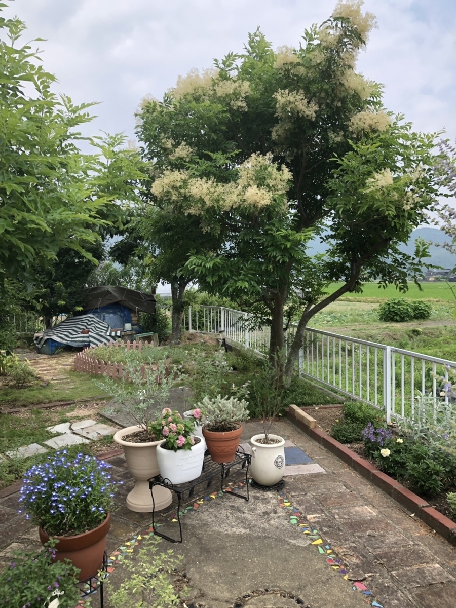 f:id:momoji009:20190712214022j:plain f:id:momoji009:20190712214022j:plain