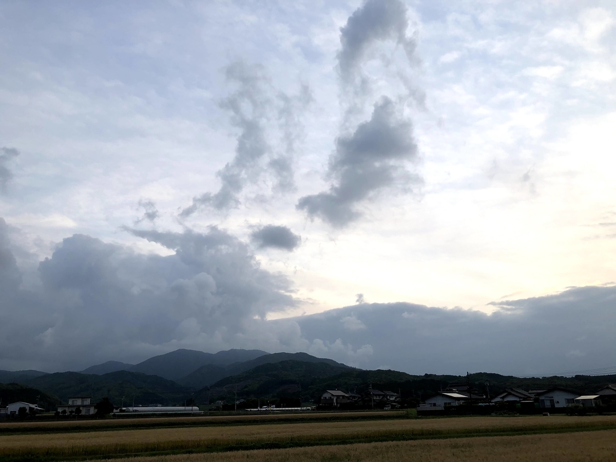 f:id:momoji009:20210522202130j:plain