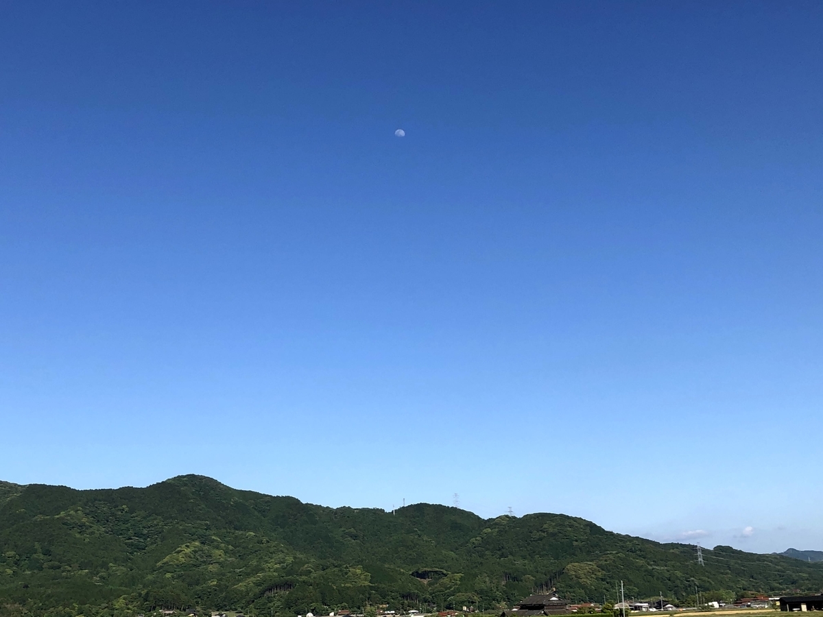 f:id:momoji009:20210522202731j:plain
