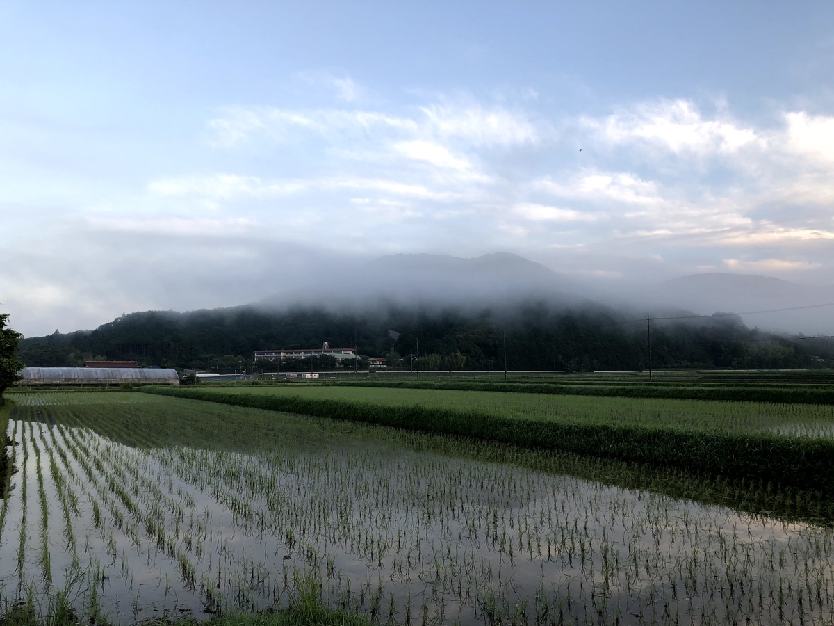 f:id:momoji009:20210620094502j:plain