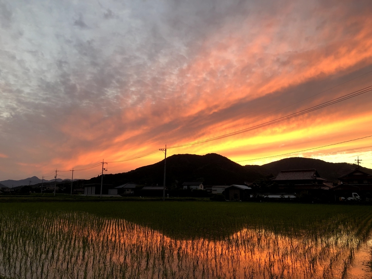 f:id:momoji009:20210620200354j:plain
