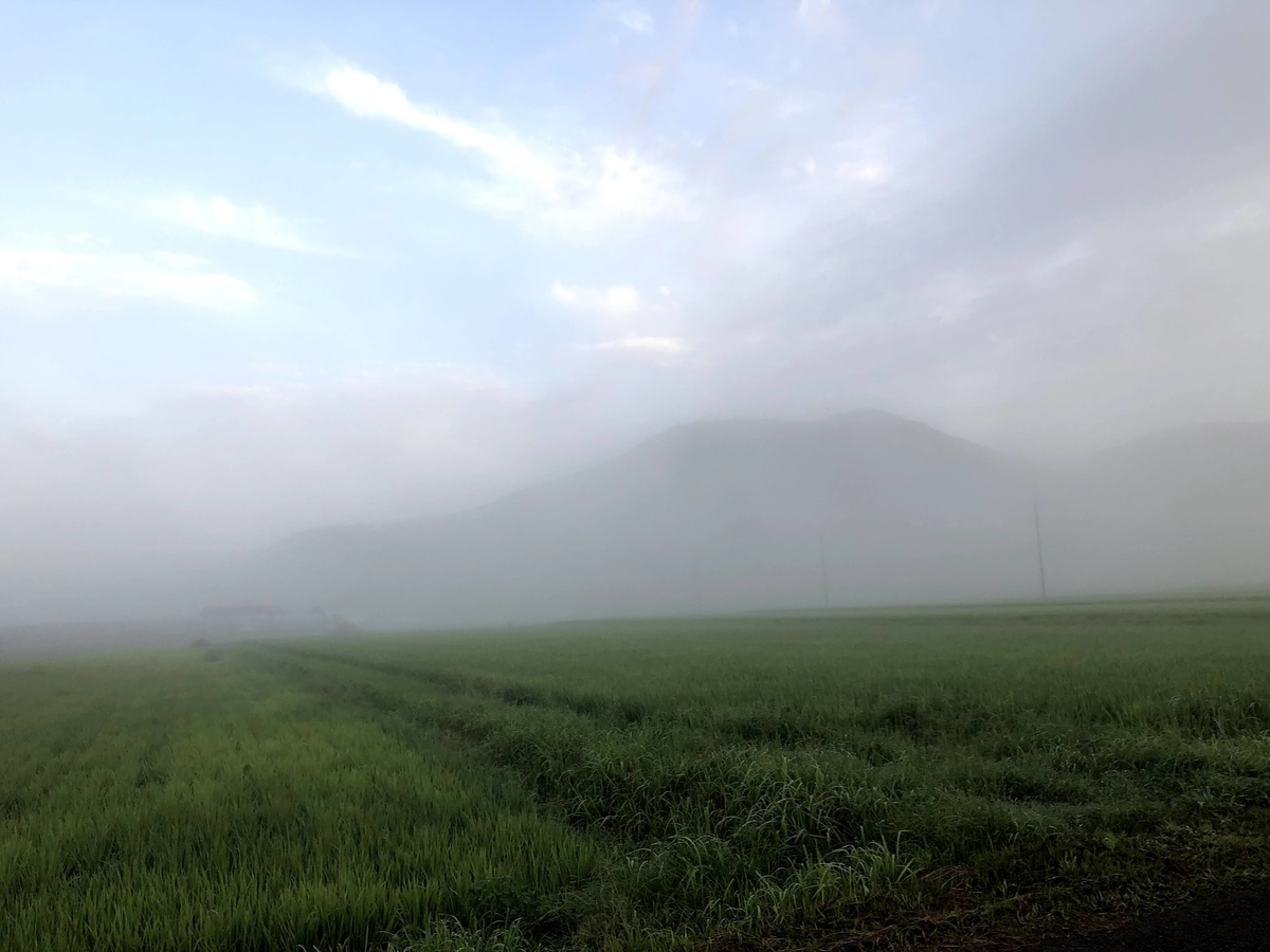 f:id:momoji009:20210810104534j:plain