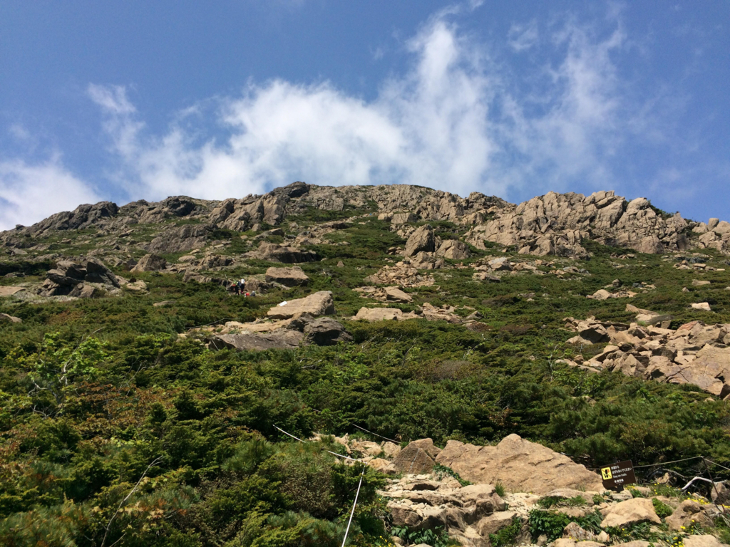 f:id:momokawataro:20180602224112j:plain f:id:momokawataro:20180602224112j:plain