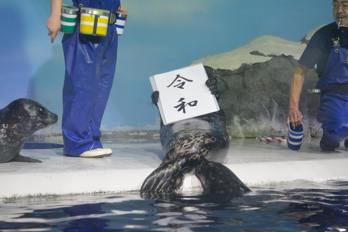 f:id:momokawataro:20190501101855j:plain