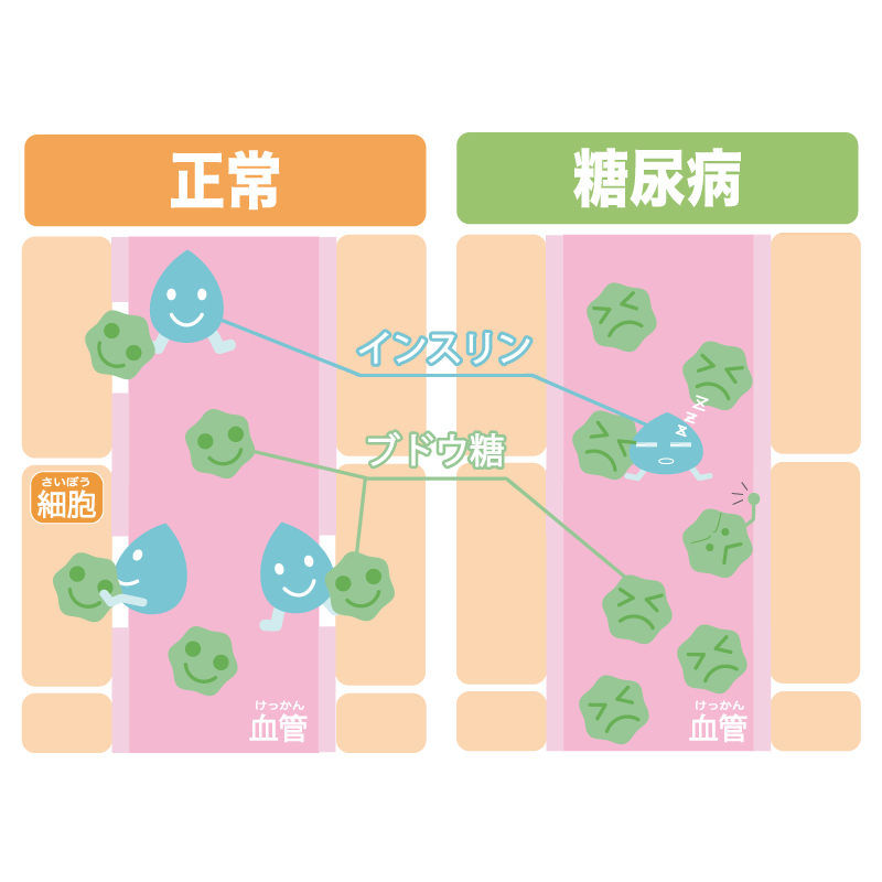 f:id:momoko-nutrition:20191020185242j:plain