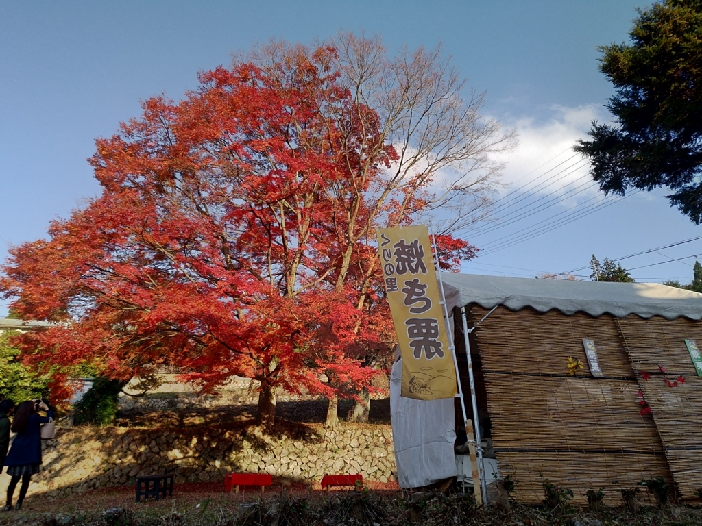 f:id:momokodokin:20171128021119j:plain f:id:momokodokin:20171128021119j:plain