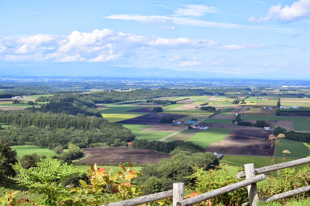 f:id:momokodokin:20190531132122j:plain f:id:momokodokin:20190531132122j:plain