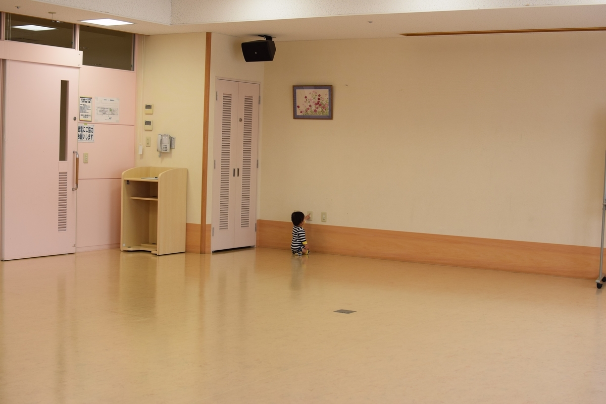 f:id:momokodokin:20190531132203j:plain f:id:momokodokin:20190531132203j:plain