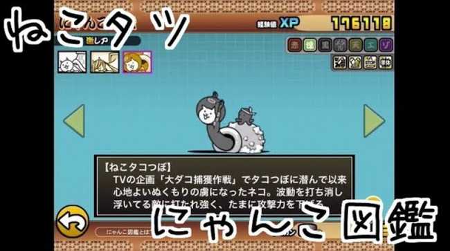 にゃんこ図鑑 ねこタツ ねこtv ねこタコつぼ 激レア 我らが にゃんこ軍団 がブログを侵略しました