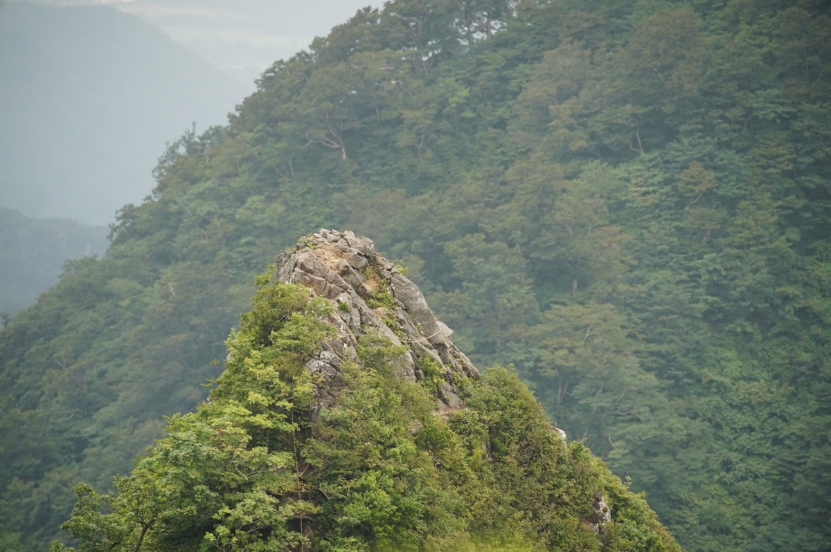 f:id:momomarumountain:20190901140608p:plain f:id:momomarumountain:20190901140608p:plain