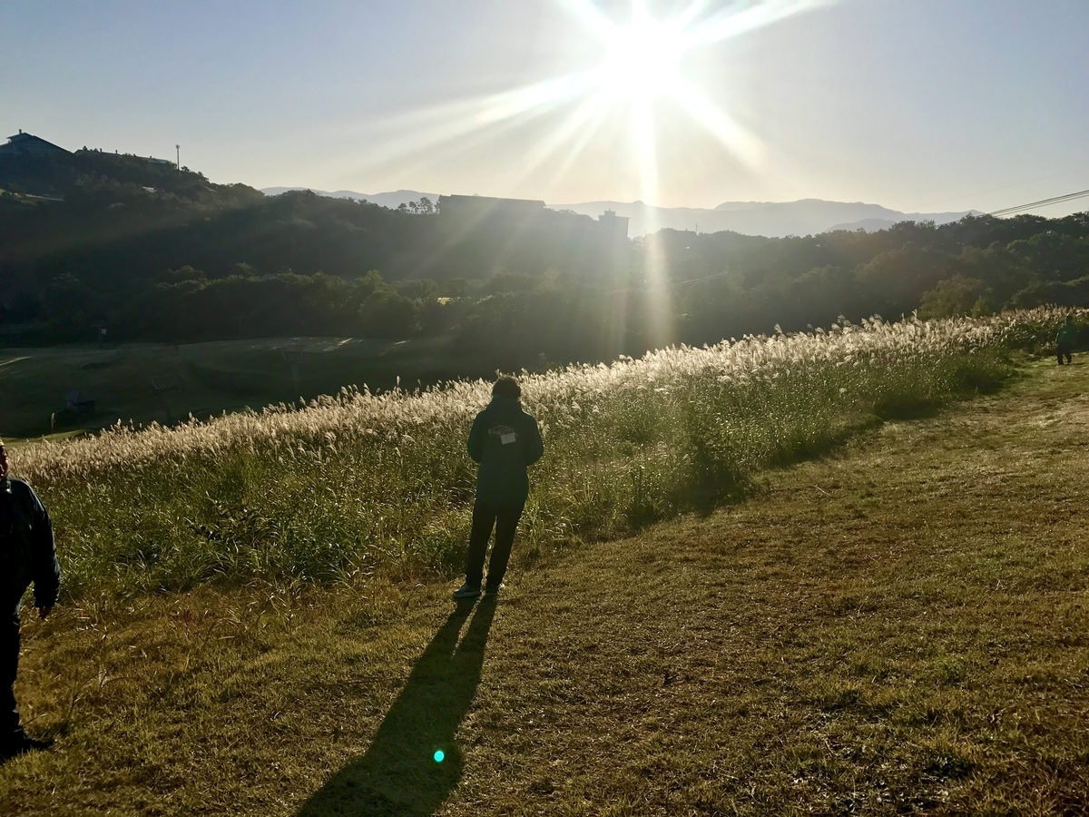 f:id:momomarumountain:20191012185619j:plain f:id:momomarumountain:20191012185619j:plain