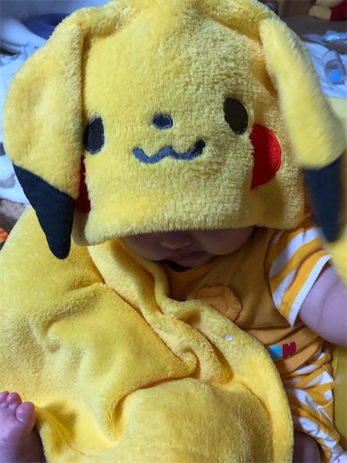 f:id:momomi25:20211014171305j:image f:id:momomi25:20211014171305j:image