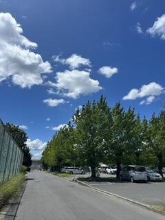 image5.jpeg