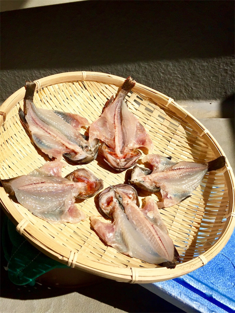 自家製干物 ガシラ編 の備忘録 デキる子もどきの自己満備忘録