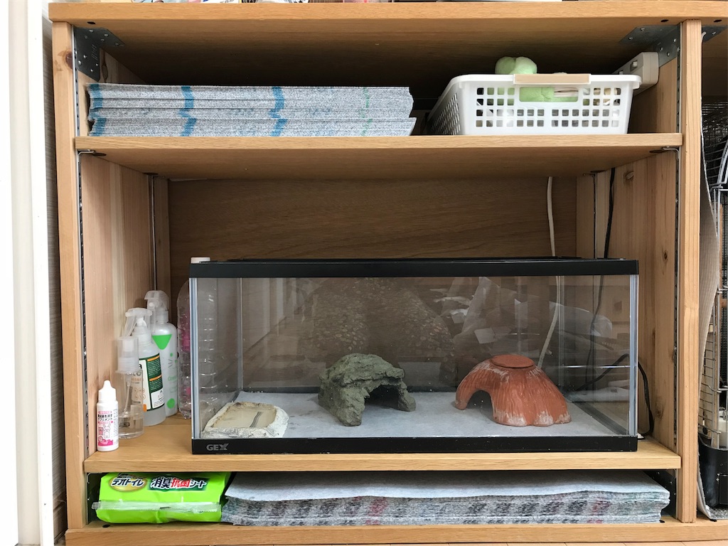 f:id:momomodoki:20180709223610j:image