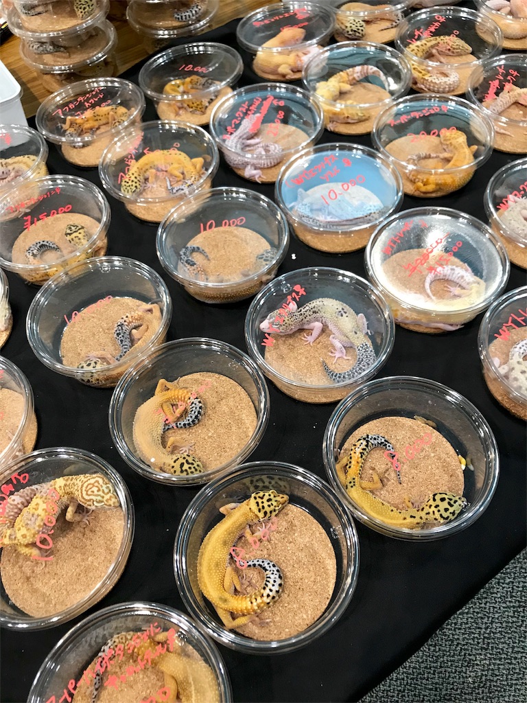 f:id:momomodoki:20180709225634j:image