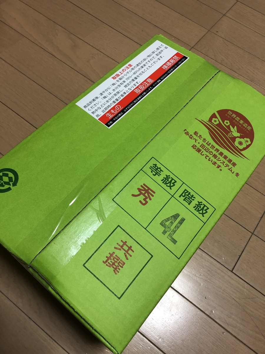 f:id:momomodoki:20200630230715j:plain