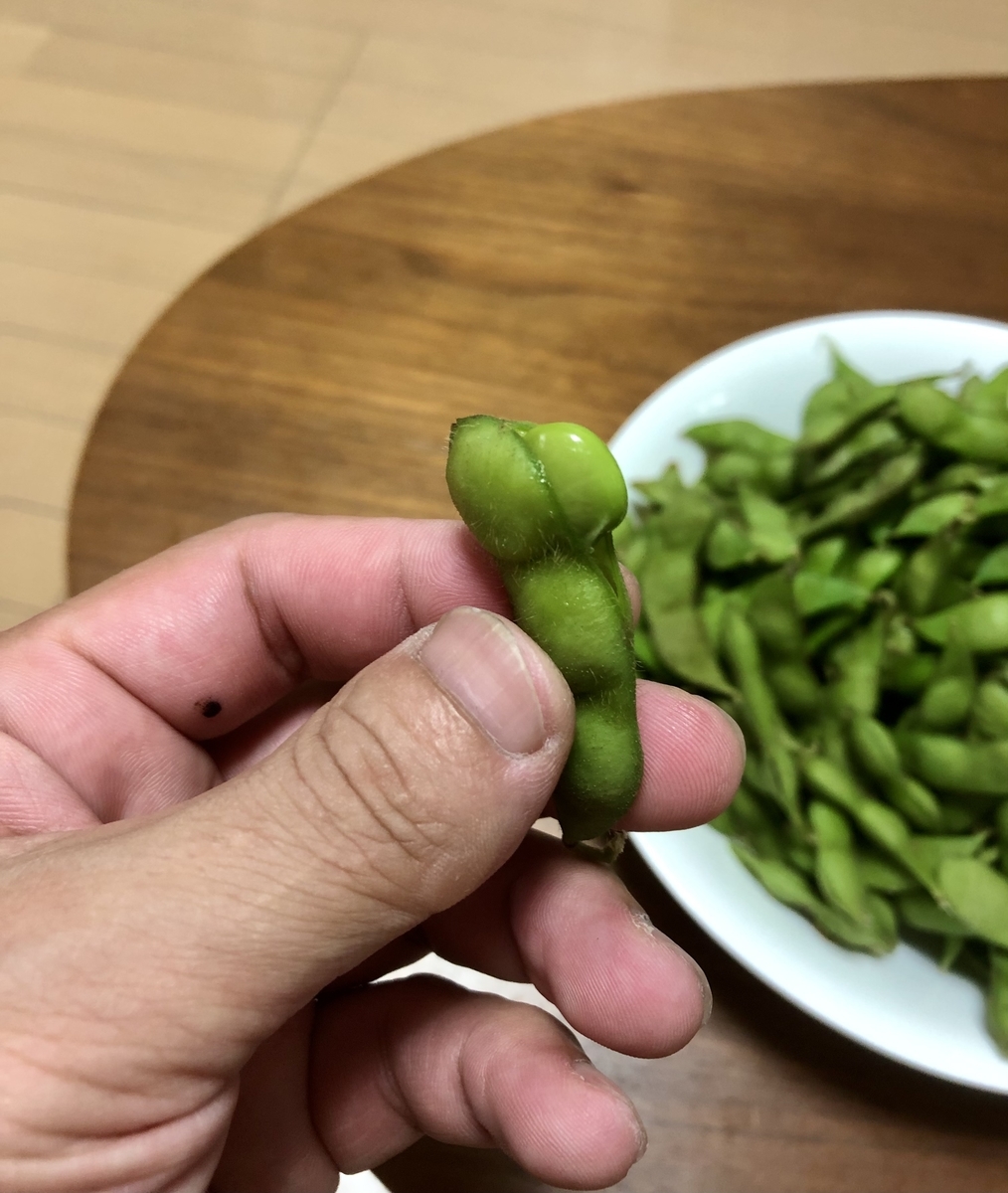 f:id:momomodoki:20210826225014j:plain