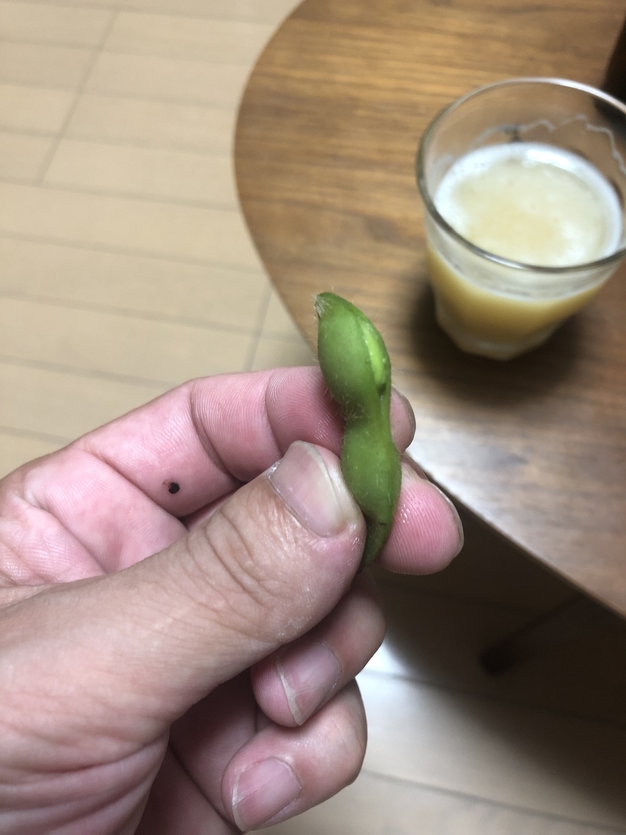 f:id:momomodoki:20210905203955j:plain