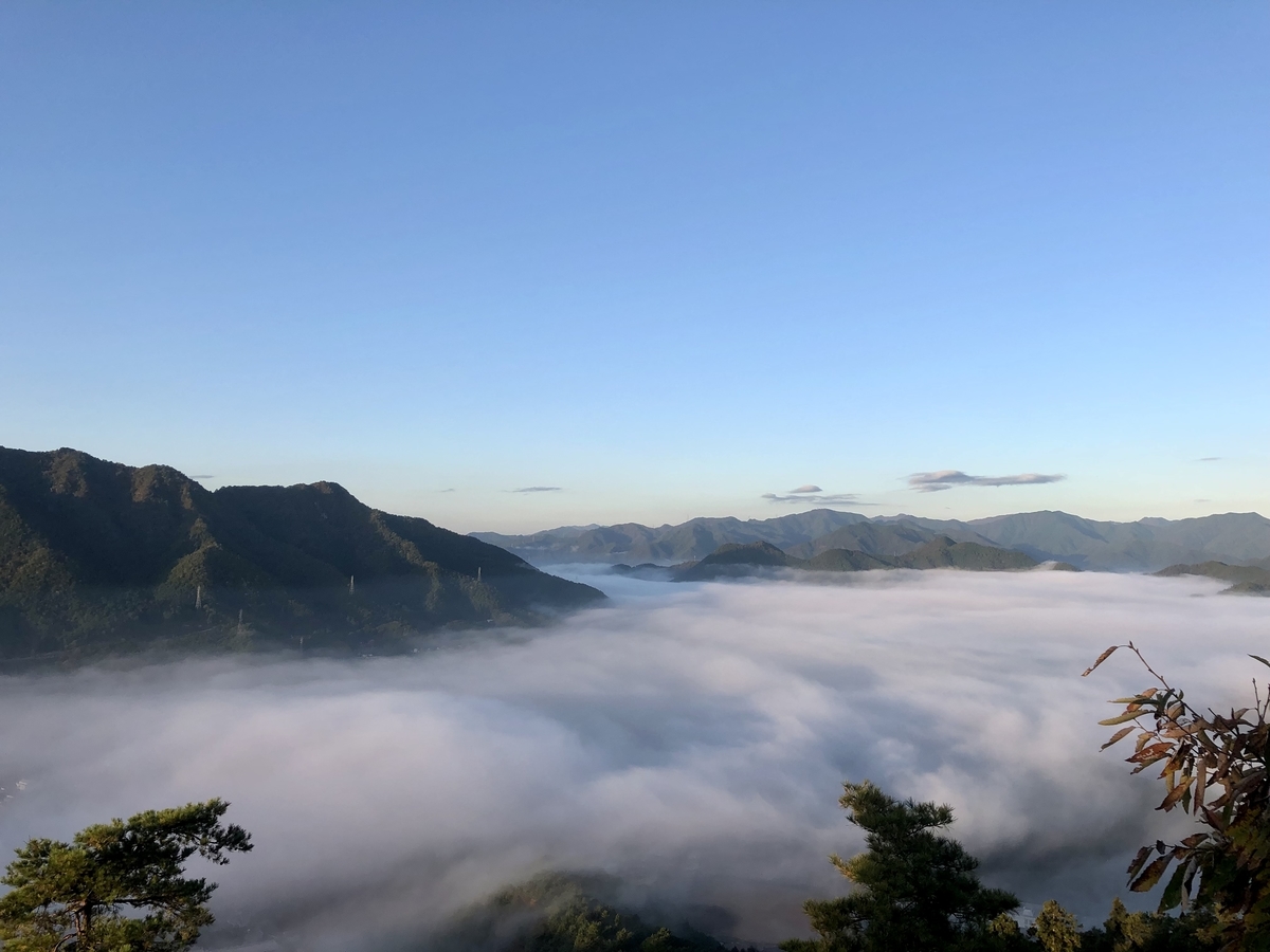 f:id:momomodoki:20211109001849j:plain