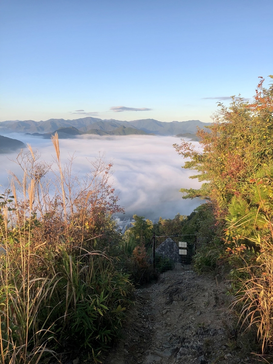 f:id:momomodoki:20211109002005j:plain