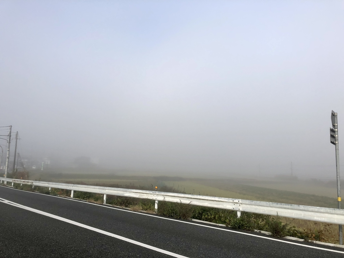 f:id:momomodoki:20211109002529j:plain