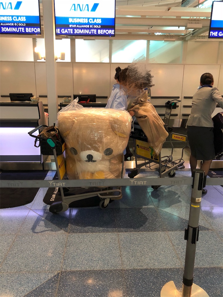 f:id:momomomchi:20181212204422j:plain