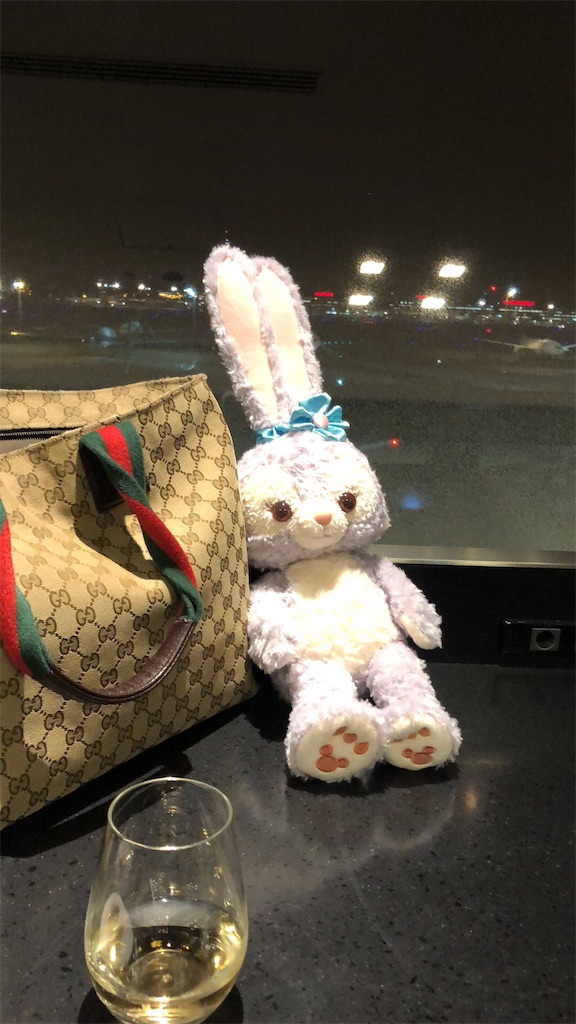 f:id:momomomchi:20190103205241j:plain