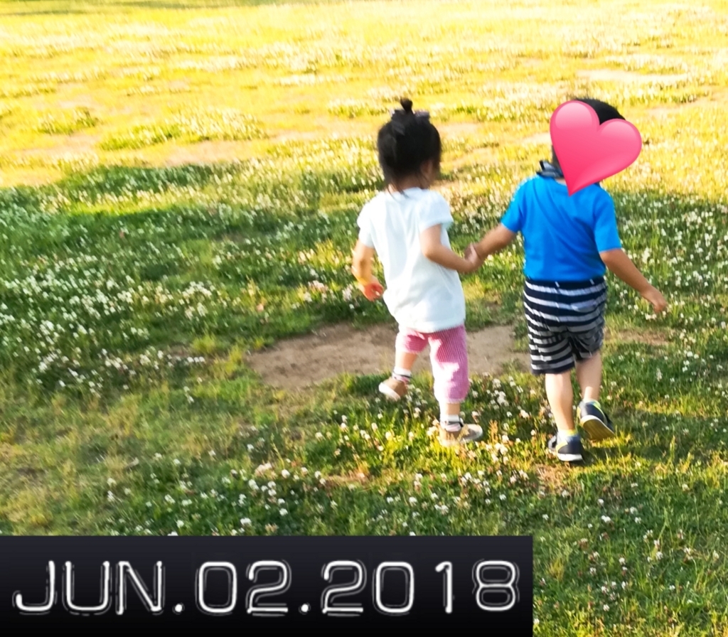 f:id:momomommy:20180603030926j:plain f:id:momomommy:20180603030926j:plain