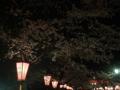 鶴山公園の夜桜