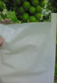 20090703230840