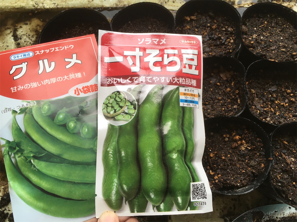 f:id:momonga610:20211027202828j:image f:id:momonga610:20211027202828j:image