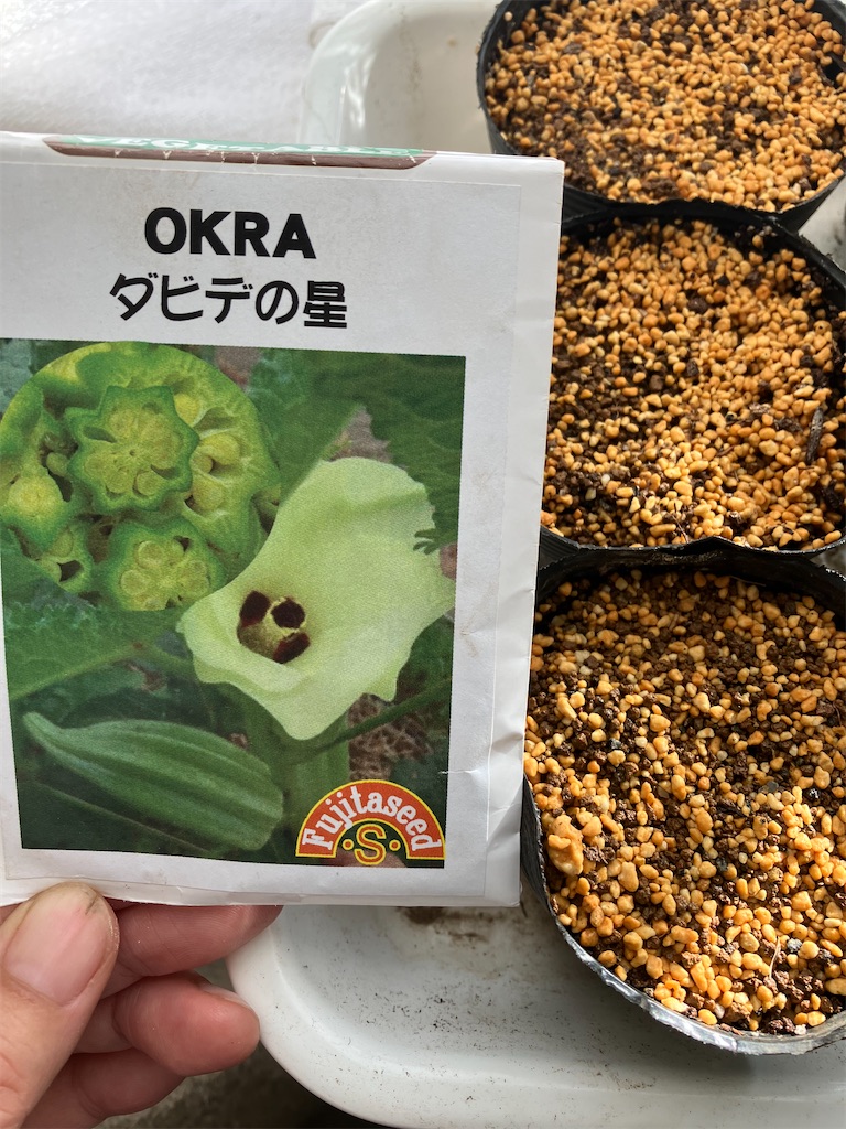 f:id:momonga610:20230419202510j:image