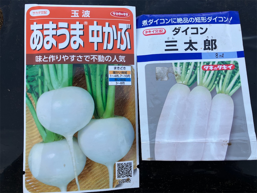 f:id:momonga610:20230423105643j:image