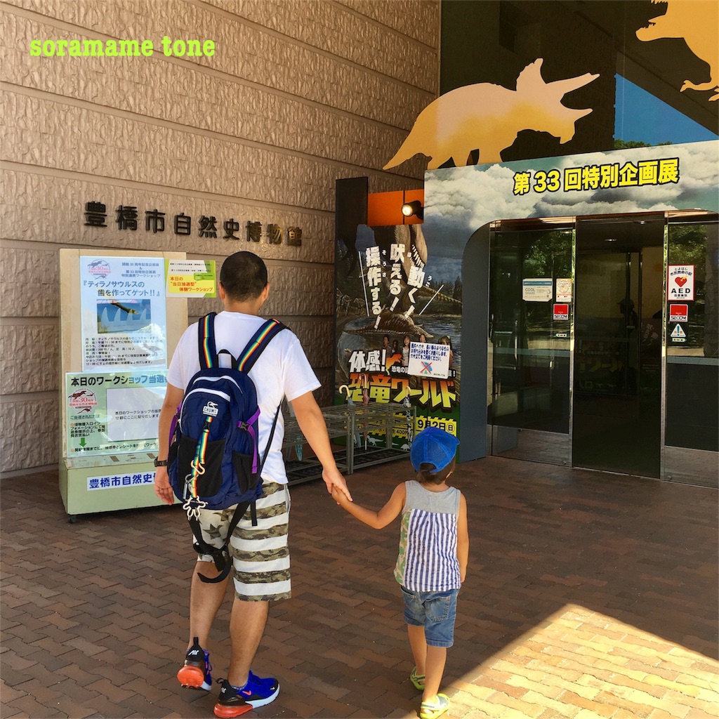 f:id:momongaa394:20180817231448j:image