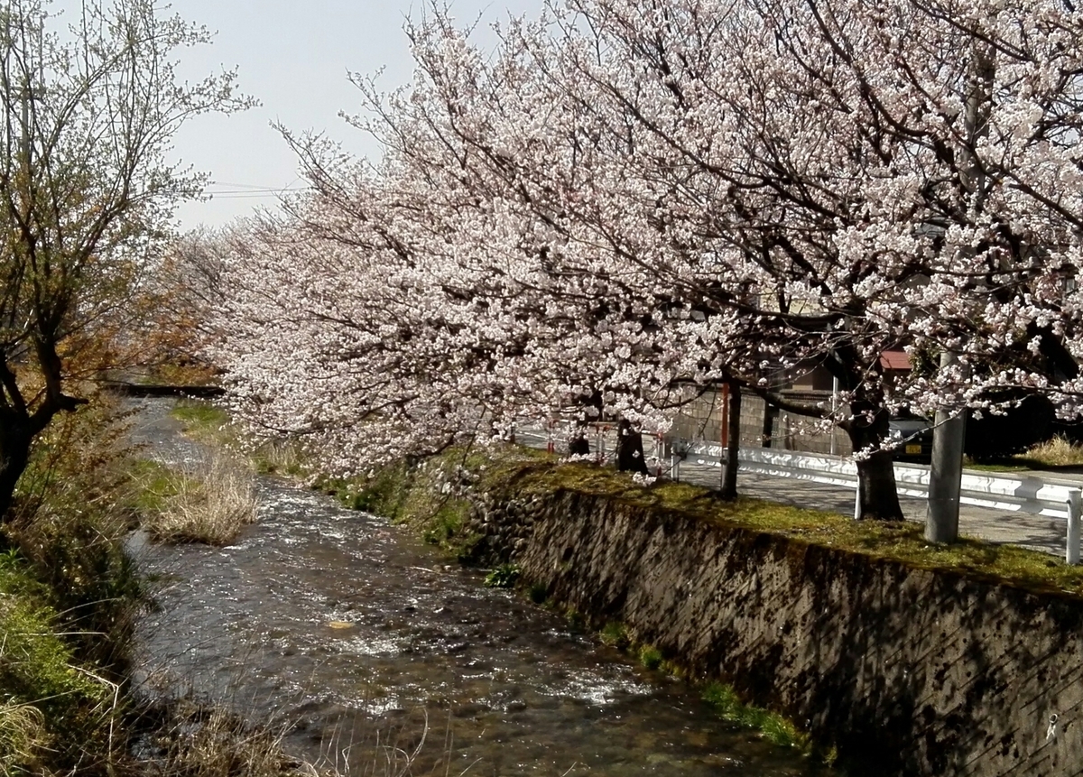 f:id:momonoane:20190406141014j:plain