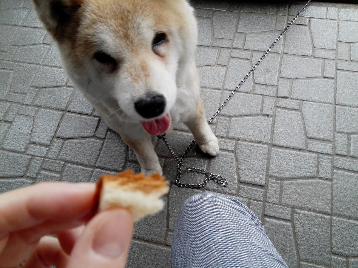 f:id:momonoane:20190712122155j:plain