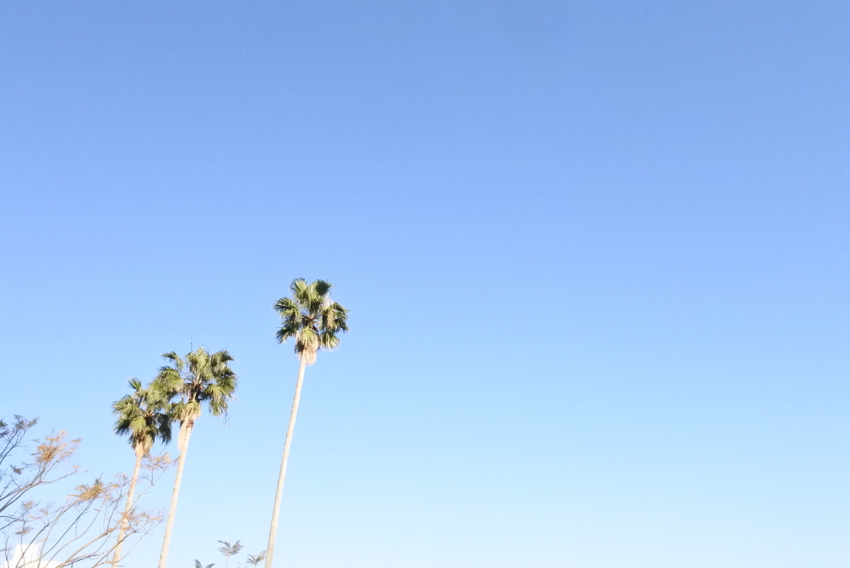 f:id:momonoco:20190322224434j:plain f:id:momonoco:20190322224434j:plain