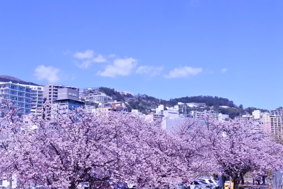 f:id:momonoco:20190322225121j:plain f:id:momonoco:20190322225121j:plain