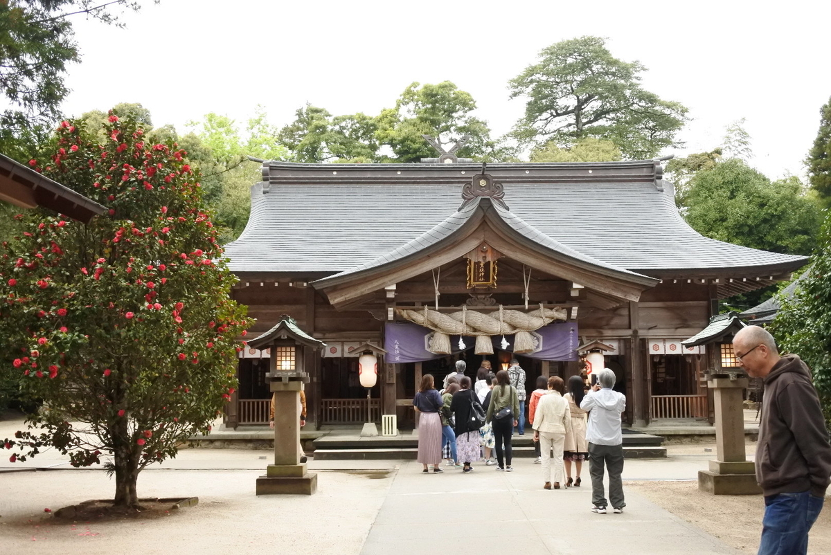 f:id:momonoco:20190427005714j:plain f:id:momonoco:20190427005714j:plain