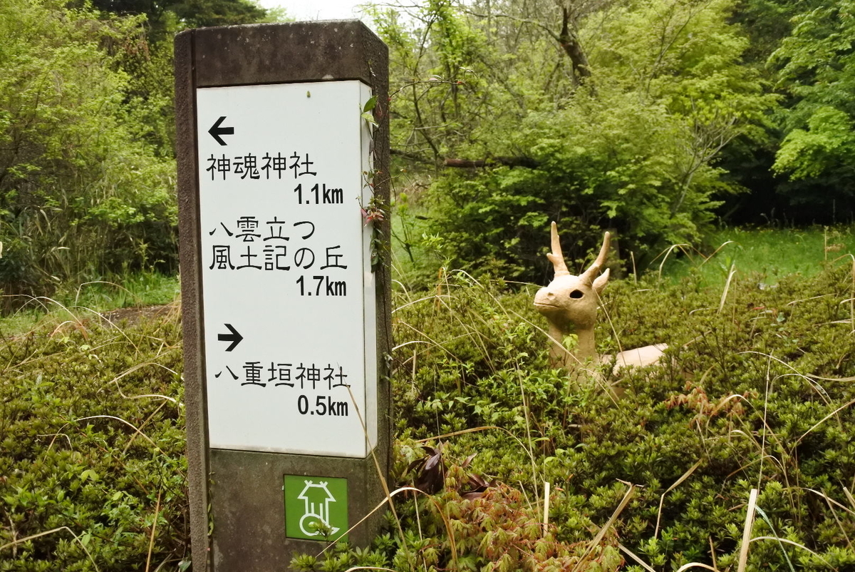 f:id:momonoco:20190522141908j:plain f:id:momonoco:20190522141908j:plain