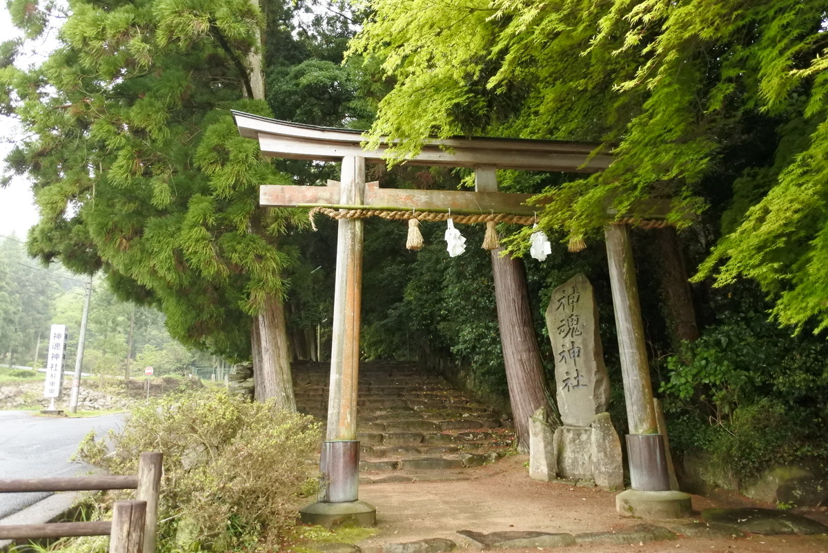 f:id:momonoco:20190522225957j:plain f:id:momonoco:20190522225957j:plain