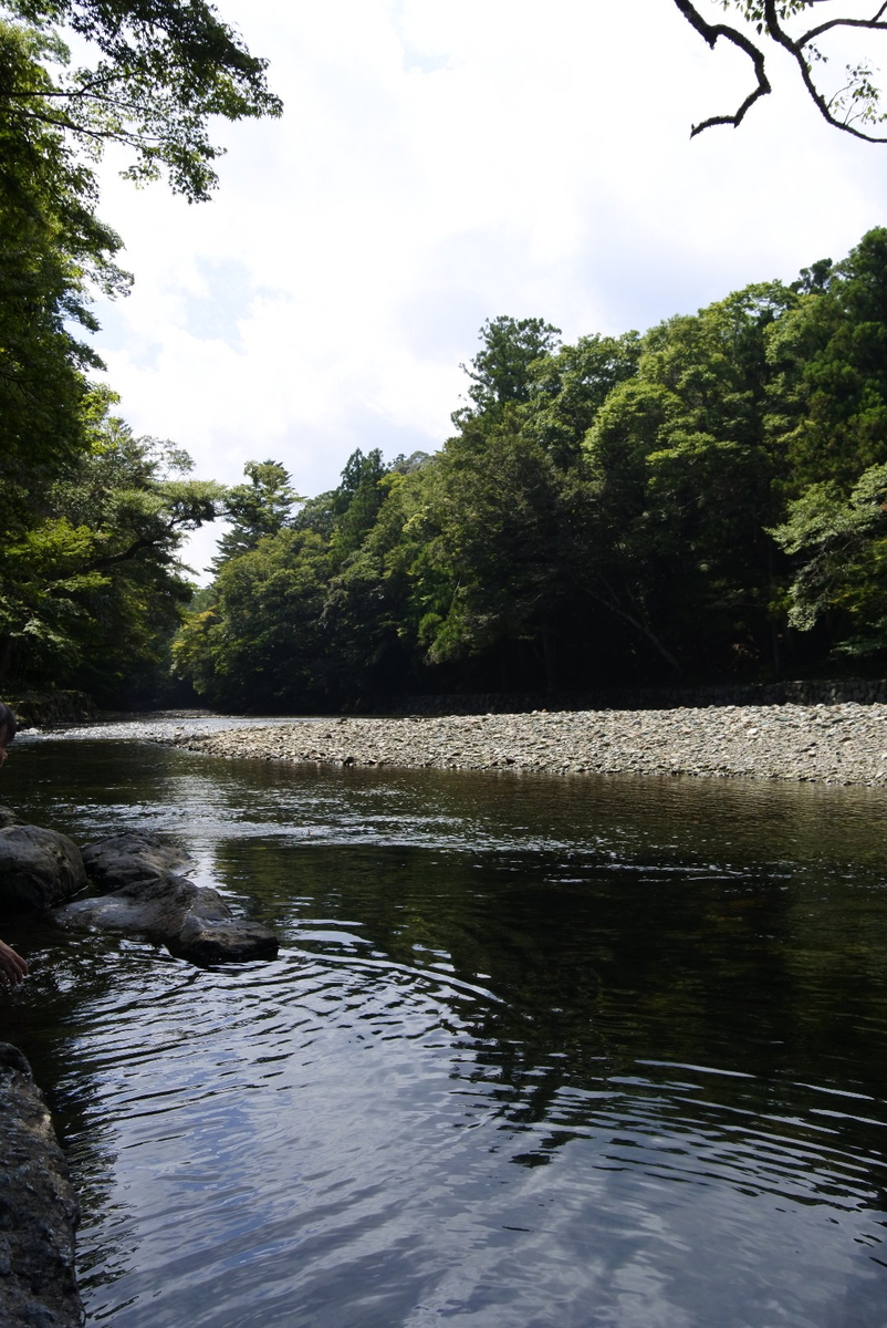 f:id:momonoco:20190912143903j:plain f:id:momonoco:20190912143903j:plain