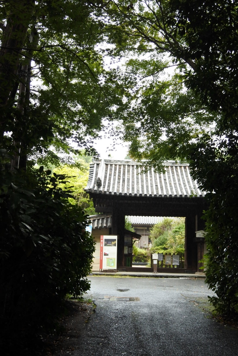 f:id:momonoco:20191103232334j:plain f:id:momonoco:20191103232334j:plain