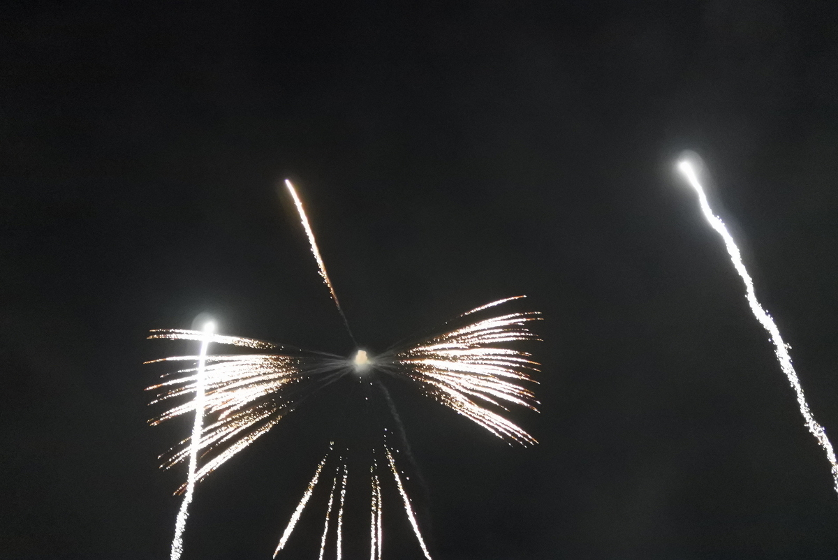 f:id:momonoco:20191228100330j:plain f:id:momonoco:20191228100330j:plain