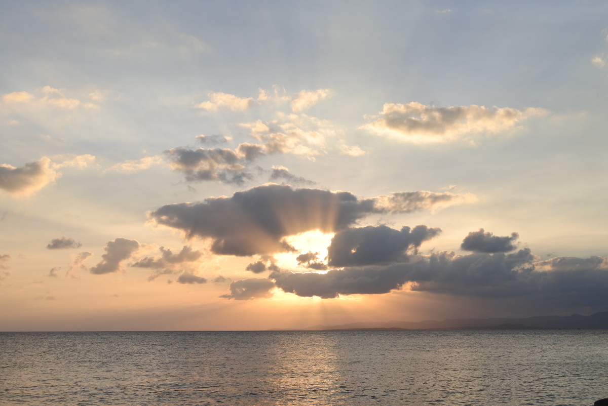 f:id:momonoco:20191228200516j:plain f:id:momonoco:20191228200516j:plain