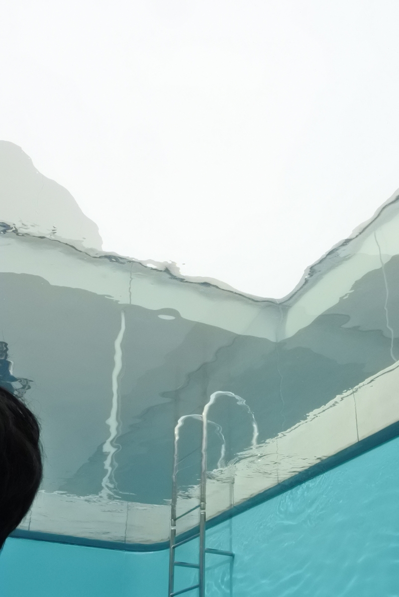 f:id:momonoco:20191228202514j:plain f:id:momonoco:20191228202514j:plain