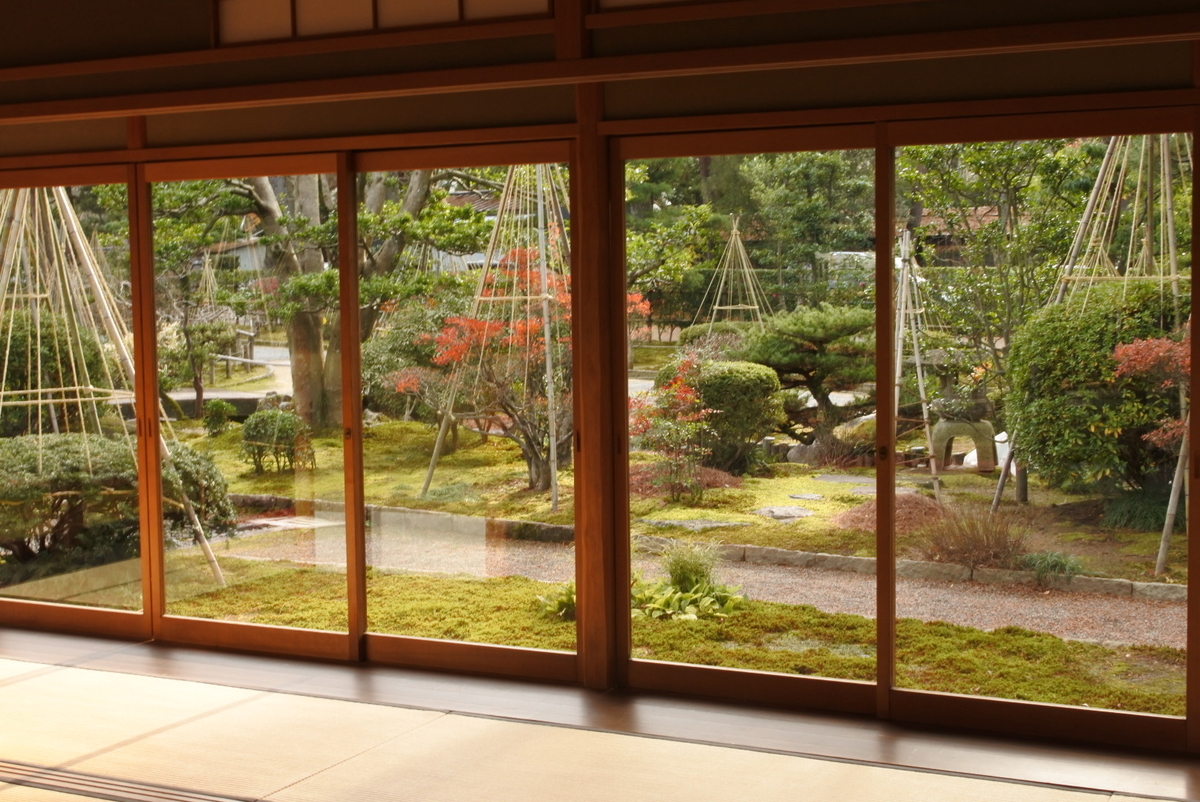f:id:momonoco:20200112123616j:plain f:id:momonoco:20200112123616j:plain