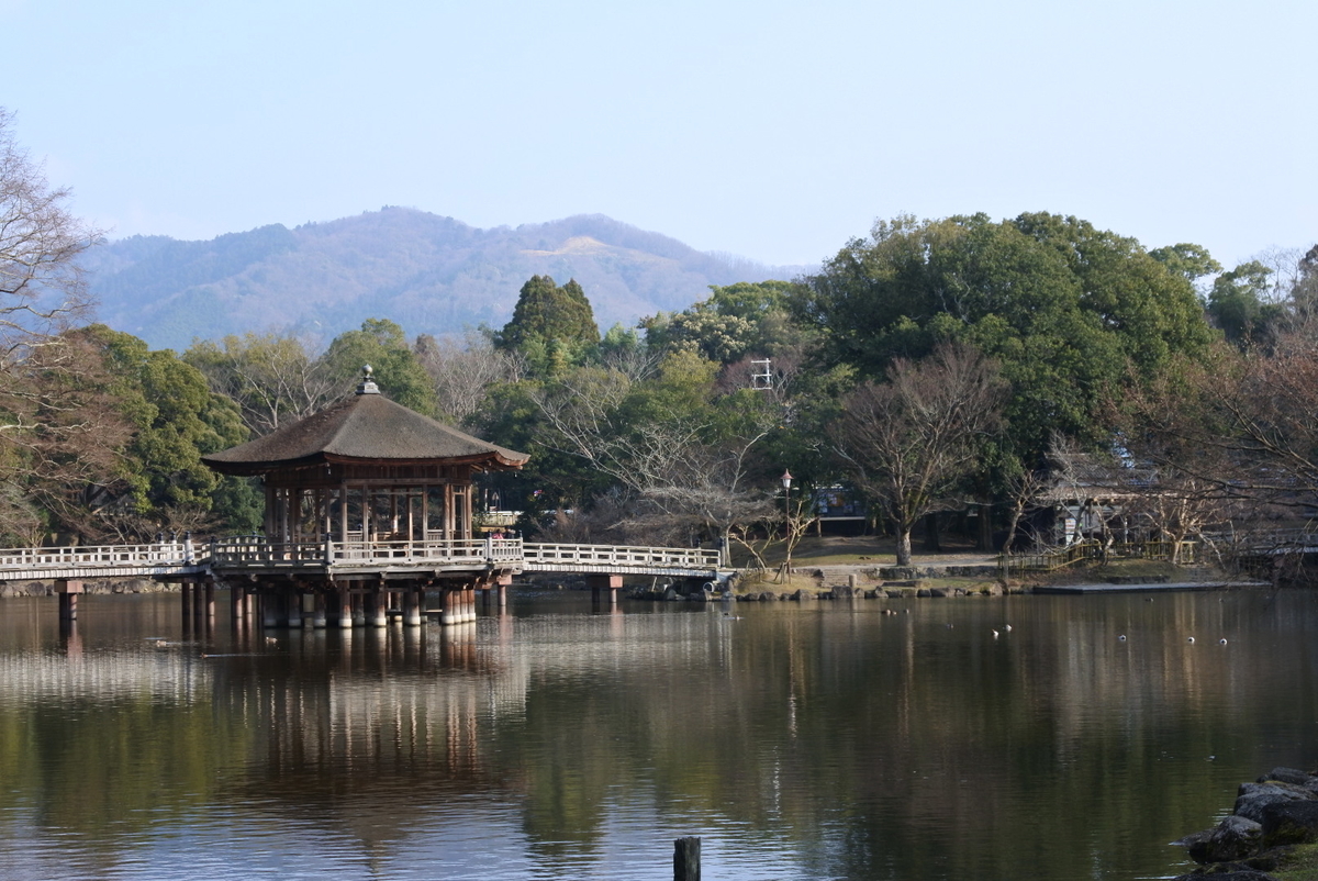 f:id:momonoco:20200120150048j:plain f:id:momonoco:20200120150048j:plain